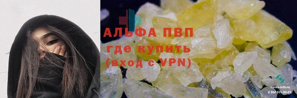 индика Елизово