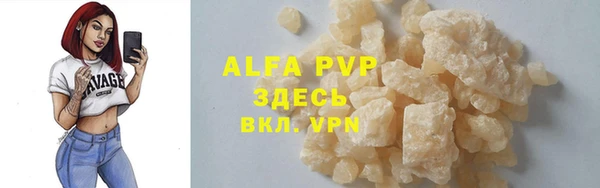 PSILOCYBIN Горно-Алтайск