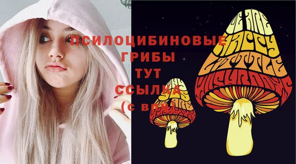 PSILOCYBIN Горно-Алтайск