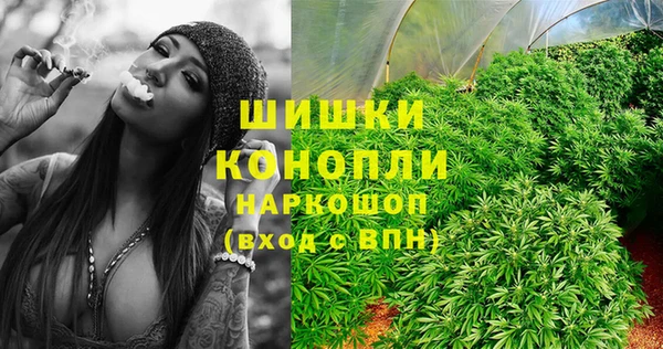 бутират Горнозаводск