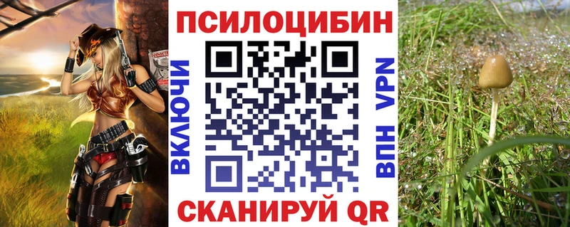 Псилоцибиновые грибы Psilocybe  даркнет сайт  Давлеканово 